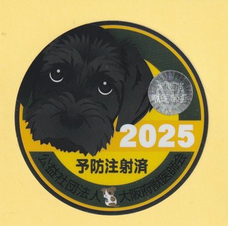 2025RVV[.jpg