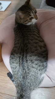 DSC_2213.JPG