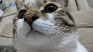DSC_2524.JPG