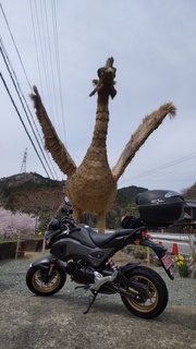 DSC_2662.JPG