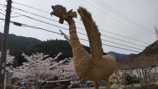 DSC_2664.JPG