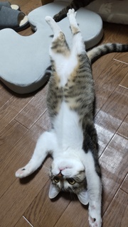 R.JPG